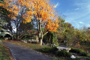 Autumn pathway clipart