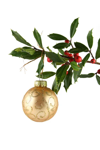 Holly a zlatý ornament — Stock fotografie
