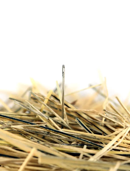 stock image Needle in a haystack