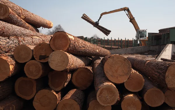 Logs e carregador — Fotografia de Stock