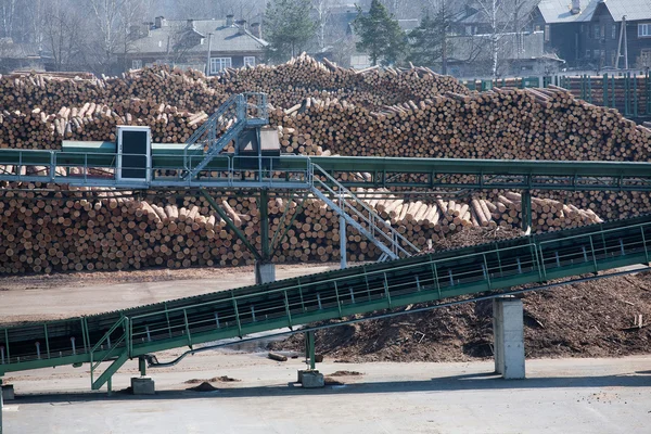 Warehouse of raw logs and the conveyor — Stock Photo, Image