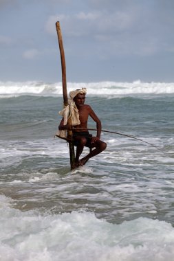 geleneksel sri Lankalı Uzunbacak balıkçı