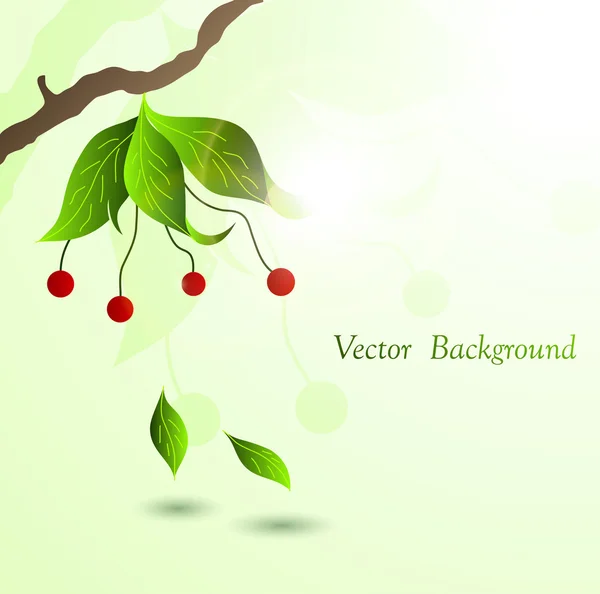 Jarní pozadí — Stockový vektor