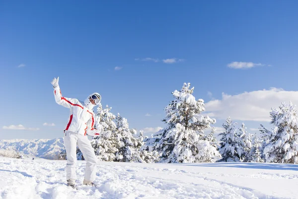 Glücklicher Skifahrer auf dem Gipfel des Berges — Stockfoto