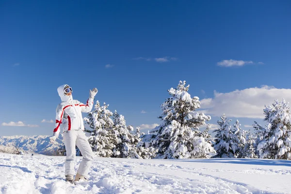 Cheery skier on the top of mountain — Stock Photo, Image