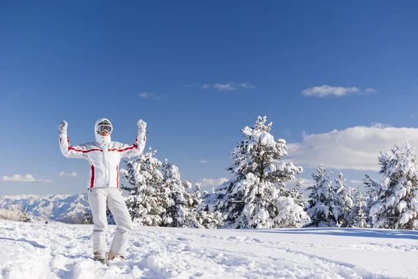 Úspěch lyžař na vrcholu hory — Stock fotografie