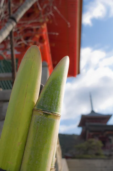 Bamboe en tempel — Stockfoto