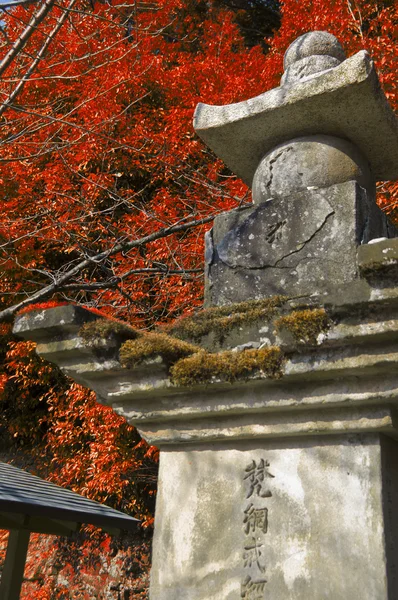 Lanterna do templo japonês — Fotografia de Stock