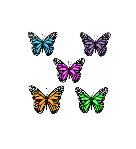 Set of different multicolored butterflies — Stock Vector