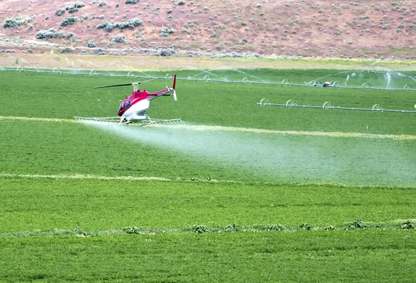 Crop dusting by helicopter. — Stock Photo, Image