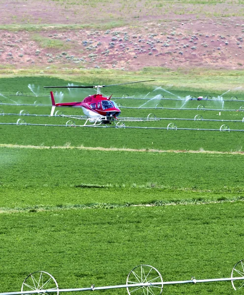 Helicóptero de pulverização de culturas . — Fotografia de Stock