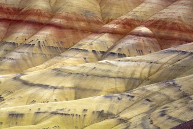 The vast geology of Painted Hills. clipart