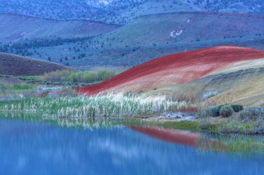 Reflections in the lake. clipart