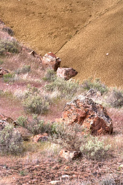 Large rocks in the desert. — Stock Photo, Image