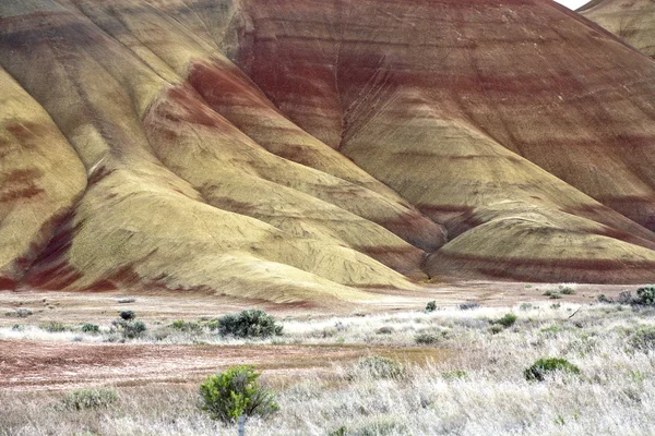 그려진된 언덕의 색상. — 스톡 사진