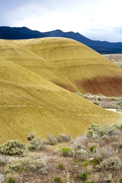 Color amarillo de las colinas pintadas . —  Fotos de Stock