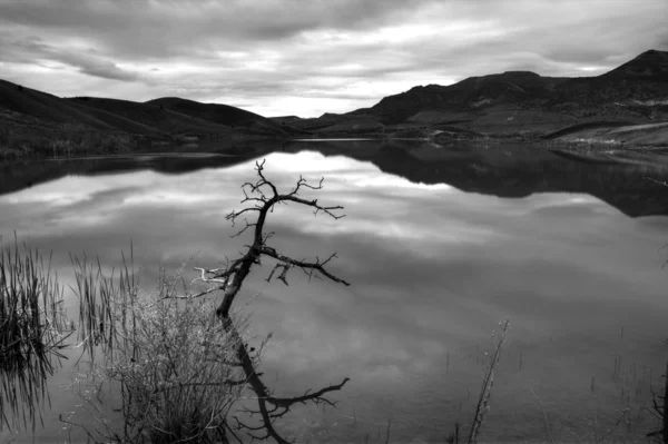 B&w kép, a nyugodt tó. — Stock Fotó