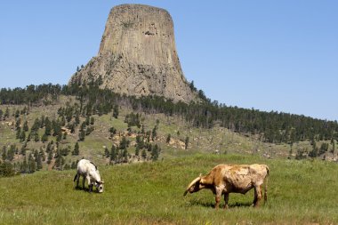 Devils tower otlatma.