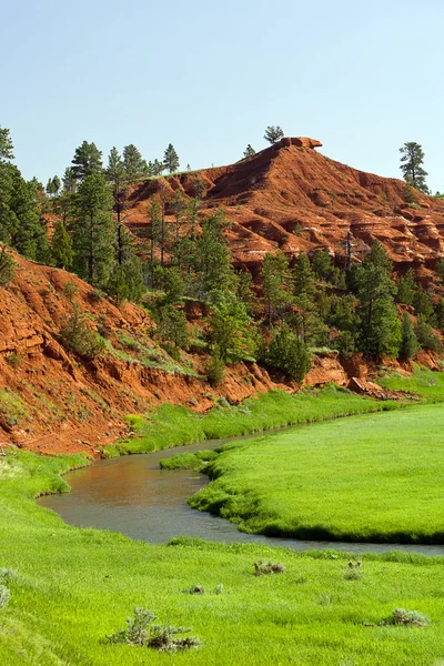Zöld fű és a vörös hills. — Stock Fotó