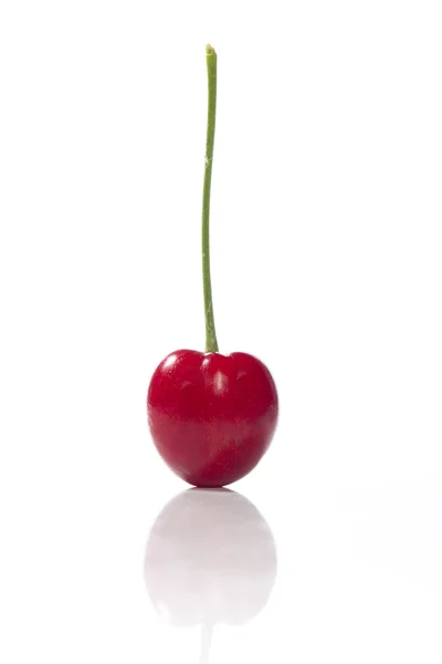 Stálé cherry — Stock fotografie