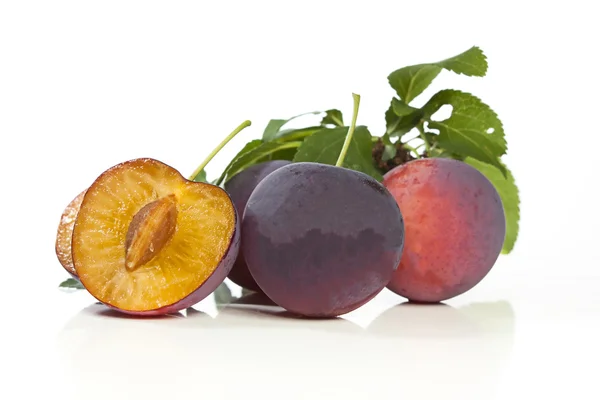 stock image Plum Still Life