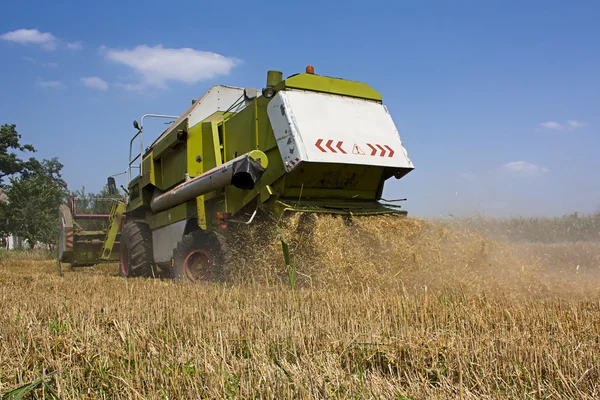 Gecombineerde harvester verzamelen van tarwe of gerst — Stockfoto