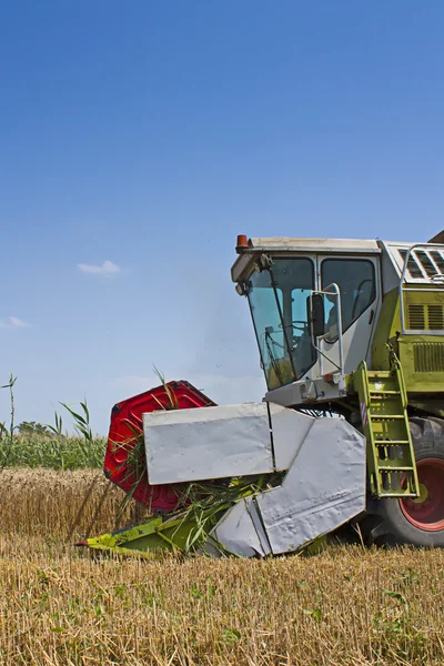 Сборщик пшеницы и ячменя — стоковое фото