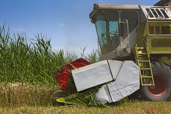 Combined Harvester collecting wheat or barley — Stock Photo, Image