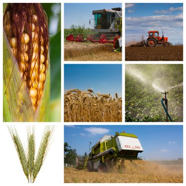 Agriculture montage clipart