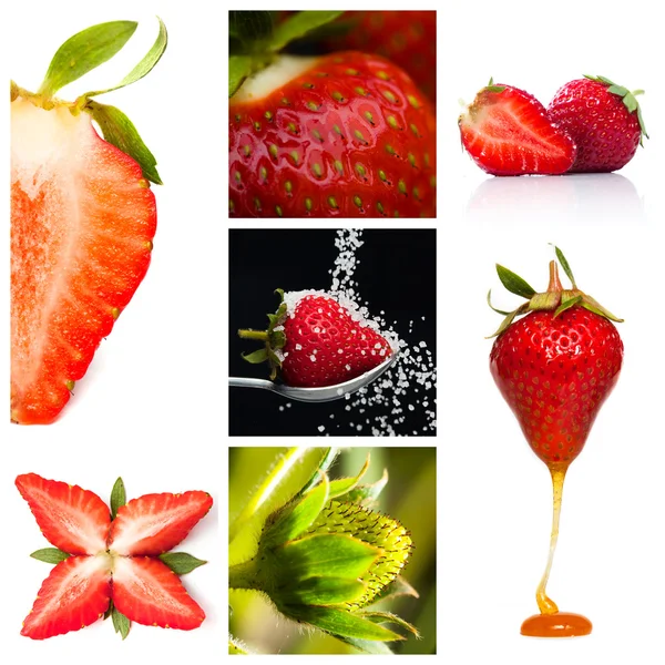 Erdbeermontage — Stockfoto