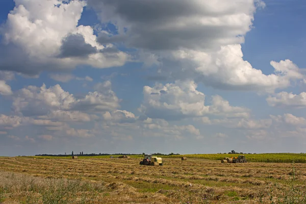 Farming undar a big sky — Stock Photo, Image