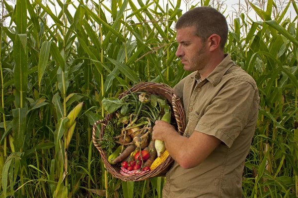 男性の農家では混合の収穫 — ストック写真