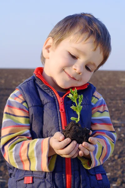 Chłopczyk na polu trzymając roślinę — Zdjęcie stockowe