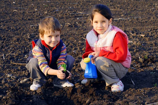 Sonriente niño en el campo sosteniendo la planta — Foto de Stock
