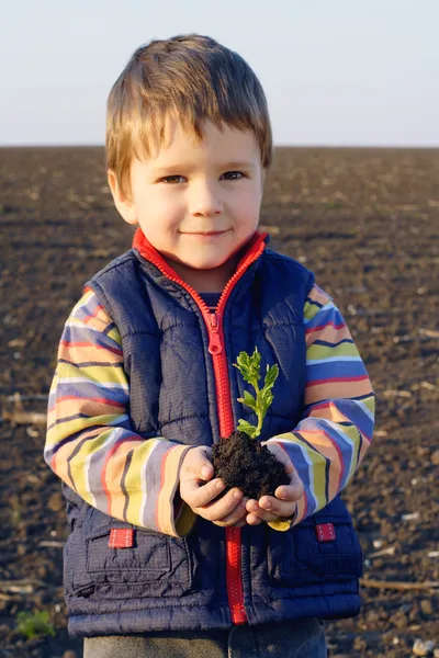 Lächelnder kleiner Junge auf dem Feld, der die Pflanze hält — Stockfoto