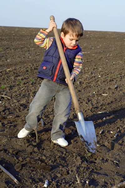 Kleiner Junge soll mit großer Schaufel auf Feld graben — Stockfoto