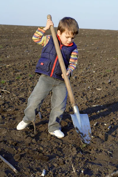 Kleine jongen te graven op veld met grote schop — Stockfoto