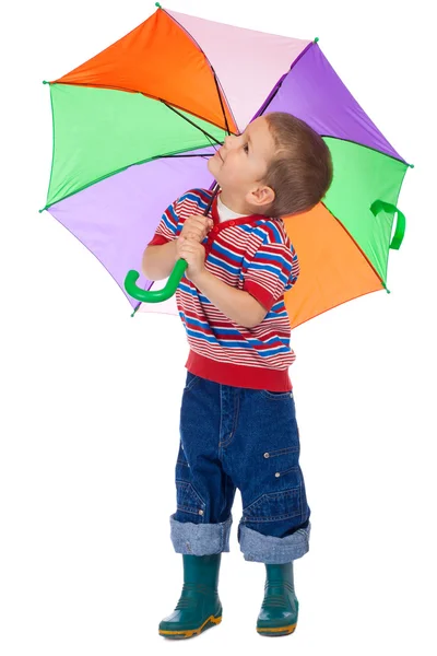 Liten pojke med paraply, leta upp — Stockfoto