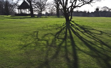 Spring landscape in park clipart