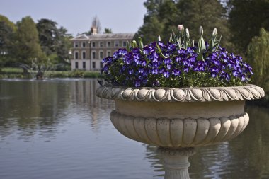 Kew Gardens (Botanik Parkı Londra'nın)