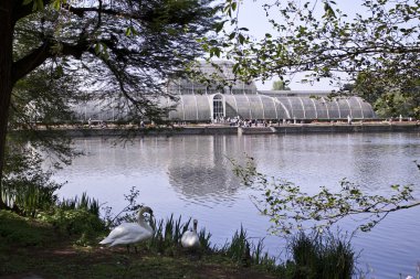 Kew Gardens (Botanik Parkı Londra'nın)