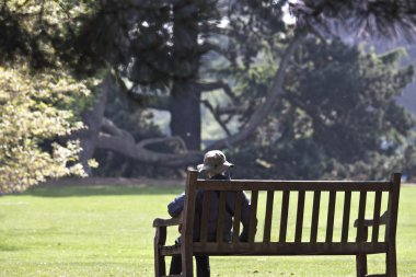 Kew Gardens (Botanik Parkı Londra'nın)