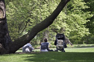 Kew Gardens (Botanik Parkı Londra'nın)