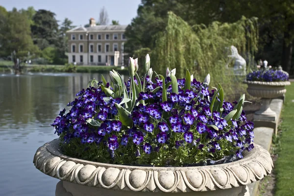Kew Gardens (botanische park in Londen) — Stockfoto