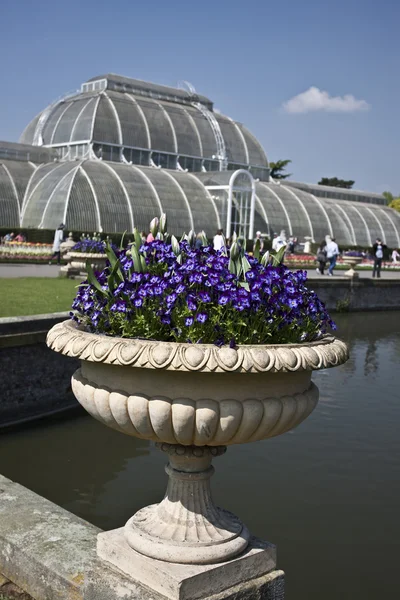 Kew Gardens ( botanic park in London) — Stock Photo, Image