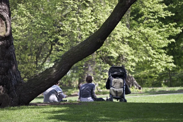 stock image Kew Gardens ( botanic park in London)