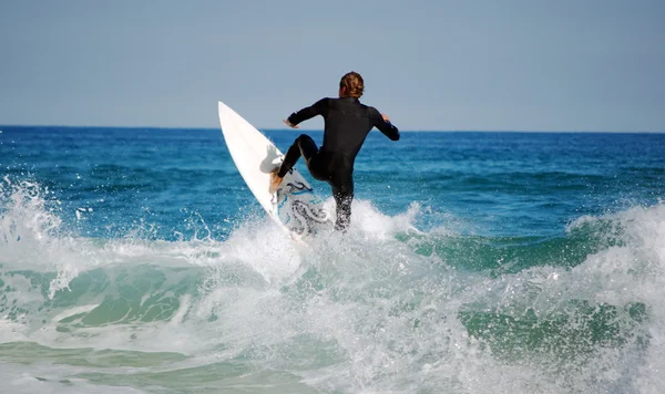 stock image Surfer