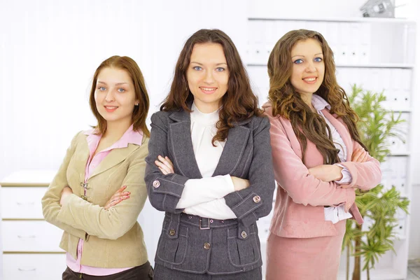 Portrait of a stylish young businesswoman with her successful business team — Stock Photo, Image