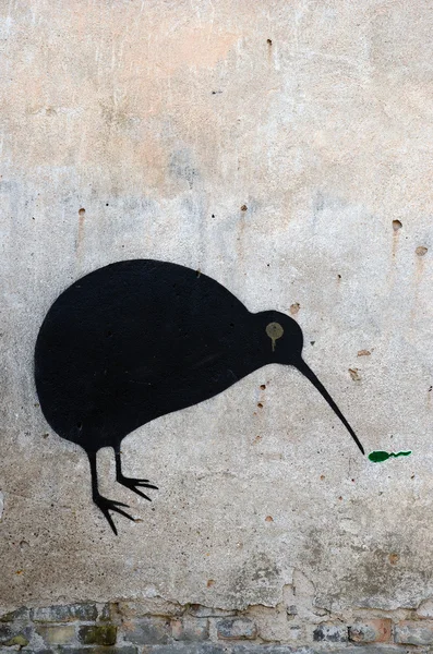 Vägg graffiti bakgrund med fågel — Stockfoto