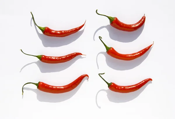 Sex röd paprika på vit bakgrund — Stockfoto